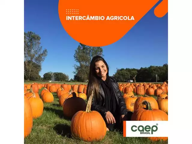 Intercâmbio Agrícola Holanda - CAEP 