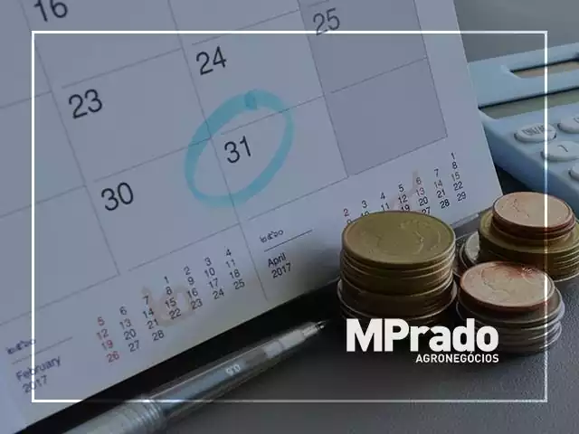 Gerenciamento de Dívidas - MPrado