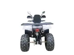 Quadriciclo Bull Motors Braves 200cc Automático Branco 2023/2023 - 4