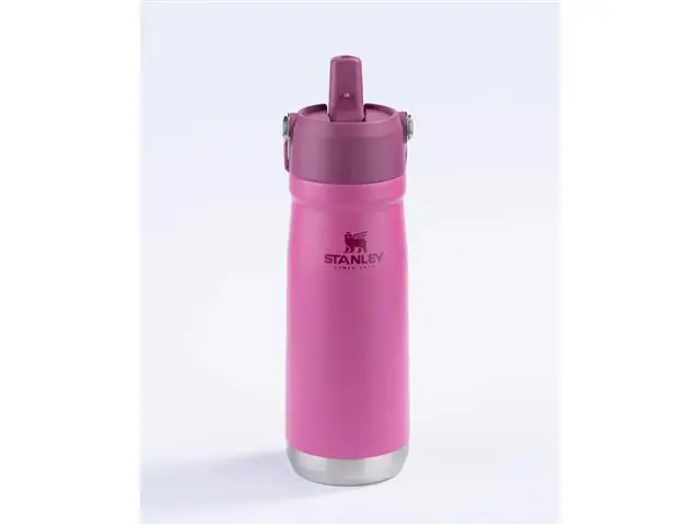 Garrafa Térmica Stanley Flip Straw Azalea 651ML