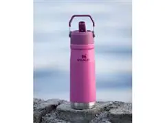 Garrafa Térmica Stanley Flip Straw Azalea 651ML - 3