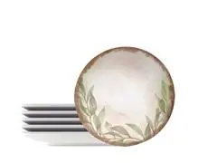 Kit Prato Sobremesa Tramontina Natur Porcelana Decorada 21cm 6 Peças - 0