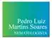 Pedro Luiz Martins Soares - 0
