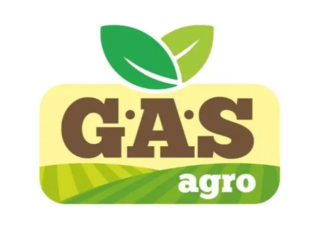 Consultoria Agronômica - Fertilidade do solo e Nutrição de plantas - G