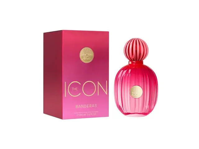 Perfume Antonio Banderas The Icon Eau de Parfum for Women 100ML