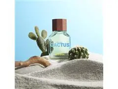 Perfume Benetton United Dreams Green Cactus For Him EDT 100ML - 3