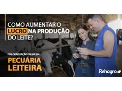 Pós graduação em Pecuária Leiteira Online - 0