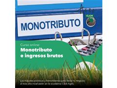 CURSO DE MONOTRIBUTO E INGRESOS BRUTOS - Click Agro