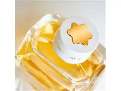 Perfume Feminino Montblanc Absolue Eau de Parfum 90ML - 3