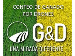 Conteo de Ganado por Drones - G&D - 0