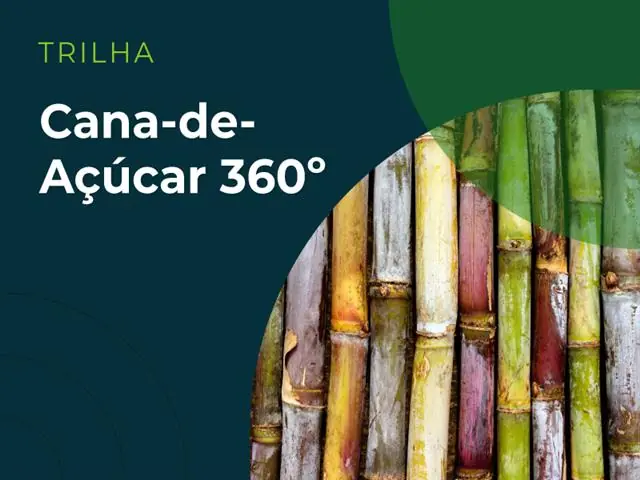 Elevagro | Trilha de aprendizado - Cana-de-Açúcar 360º 