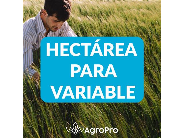 AgroPro - Hectárea para variable (Anual)