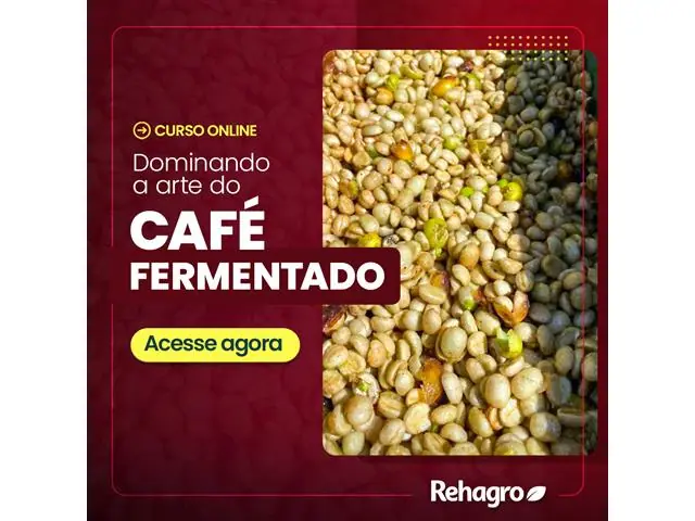 Curso Livre Online: Dominando a Arte dos Cafés Fermentados