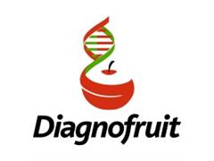 DIAGNOFRUIT:  Estudios Fitopatologicos de Crisantemos - 0