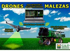 Mapeo de Malezas con Drones -GyD - 1