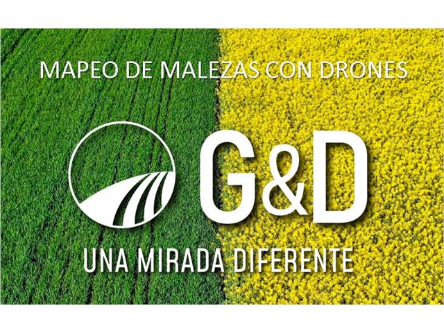 Mapeo de Malezas con Drones -GyD