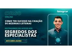 Como ter sucesso na Criação de Bezerras Leiteiras