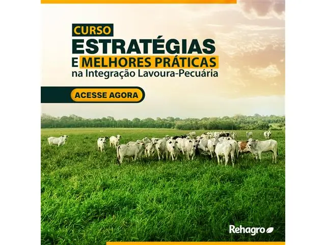 Estratégia e Melhores Práticas na Integração Lavoura-Pecuária (ILP)