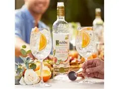 Vodka Ketel One Botanical Peach & Orange Blossom 750ml - 5