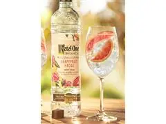 Combo Vodka Ketel One Botanical Grapefruit & Rose 750ml  - 6 Uni - 7