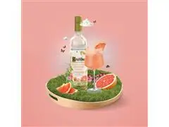 Combo Vodka Ketel One Botanical Grapefruit & Rose 750ml  - 6 Uni - 1