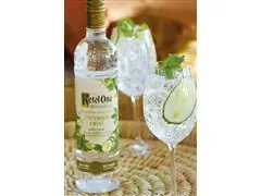 Combo Vodka Ketel One Botanical Cucumber & Mint Garrafa 750ml - 3 Uni - 5