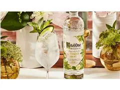 Combo Vodka Ketel One Botanical Cucumber & Mint Garrafa 750ml - 3 Uni - 6