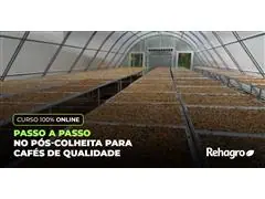 Passo a Passo no Pós-Colheita para Cafés de Qualidade - 0