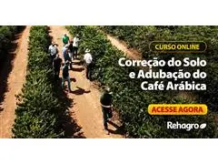 Correção do Solo e Adubação do Café Arábica - 0