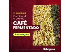 Dominando a Arte dos Cafés Fermentados