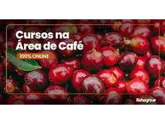 Como Maximizar a Produtividade do Café com uma Irrigação Inteligente - 0