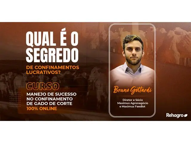 Manejo de Sucesso no Confinamento de Gado de Corte