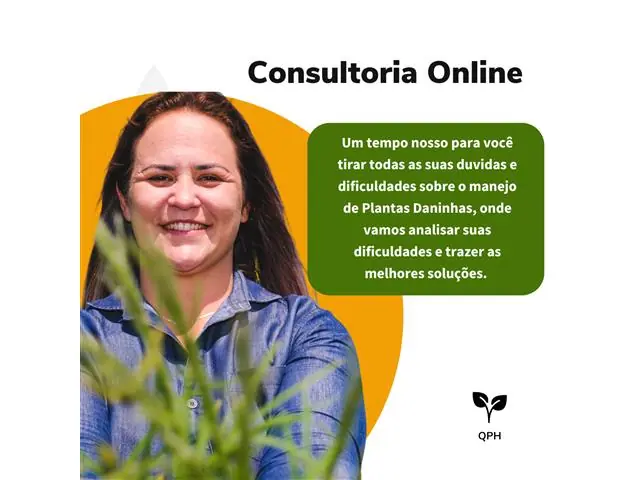 Consultoria Presencial Herbicida