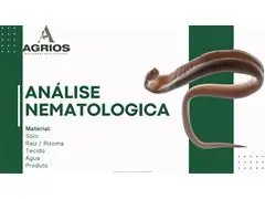 Análise Nematologica em Solo - 0