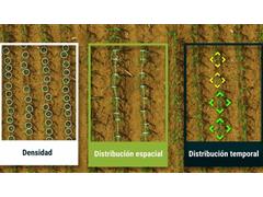 Conteo de plantas full (Vuelo + Procesamiento) VISTAGUAY - 1