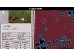 Generación de ortomosaico full (Vuelo + Procesamiento) VISTAGUAY - 4