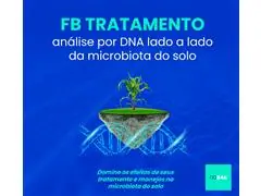 FB Tratamento - B4A Análise por DNA lado a lado da microbiota do solo