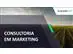 Consultoria em Marketing - MPrado - 0