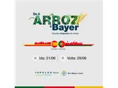 EXPERIENCIA BAYER TOP AGRICULTORES ARROZ - 0