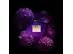 Banderas Her Secret Desire Eau de Toilette 80ml - 4