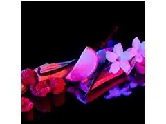 Banderas Her Secret Desire Eau de Toilette 80ml - 6