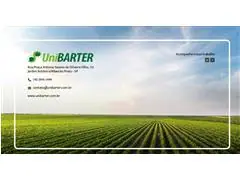 Curso Operações de Barter, Commodities & Derivativos - 2