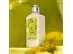 Loção Corporal L'Occitane en Provence Barbotine 250ml - 2