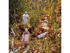 Sabonete Líquido Corporal L'Occitane en Provence Lavande Blanche 250ml - 2