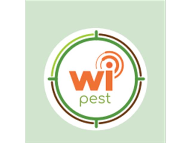 WIPEST TAGS (PACK x 1000UN)