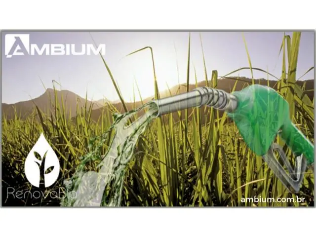 CONSULTORIA RENOVABIO