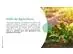 CVC Agro - Assessoria - 1