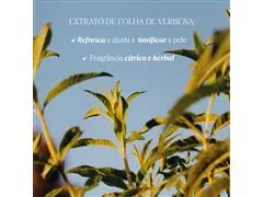 Espuma de Banho Refrescante L'Occitane en Provence Verbena 500ml - 2