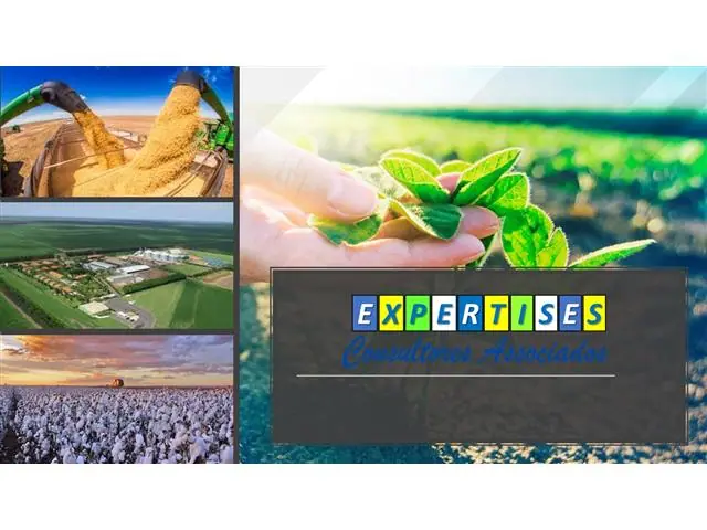 CONSULTORIA AGRONOMICA