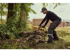 Eletrosserra DeWalt 20V 12" Lubrificação Automática - 1